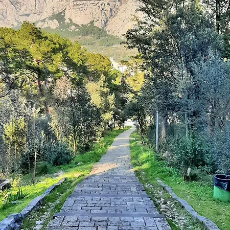 Laura - Center Μακάρσκα